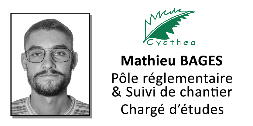 Mathieu BAGES