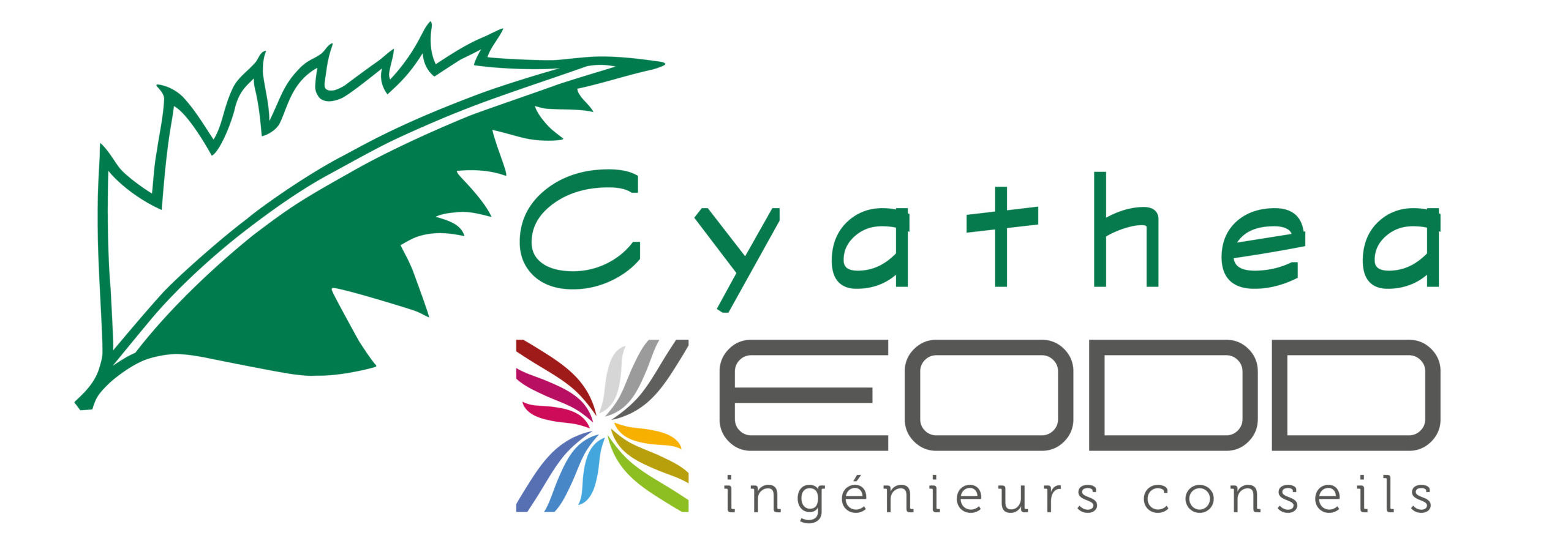Cyathea